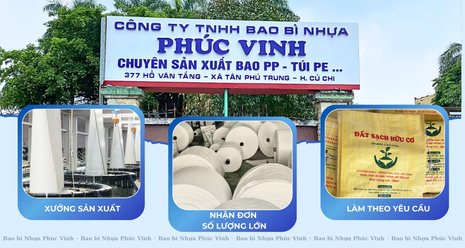 Ve-chung-toi---Bao-PP-det-Phuc-Vinh-6.